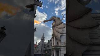 Gringotts Wizarding Bank Universal Studios disney shorts viral shortsfeed vlog viralvideo fyp [upl. by Idnak]