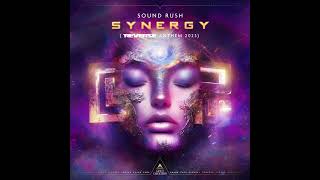 Sound Rush  Synergy Reverze Anthem 2023 Extended Mix [upl. by Nylimaj798]