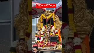 గోవిందా హరి గోవిందా గోకులానందన గోవిందా tirupathi balaji devotinal [upl. by Eicyaj385]