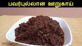 பிரண்டை ஊறுகாய்  Pirandai Urugai  Pickle Recipes in Tamil  Veld Grape Pickle [upl. by Assira]