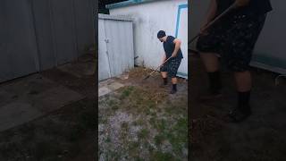 Raking Shed Area shorts [upl. by Kamal600]