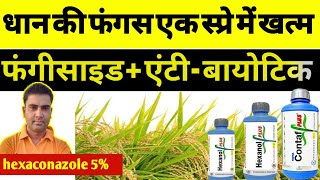 धान की फंगस एक स्प्रे में खत्म करें । hexaconazole 5 EC । Validamycin 3 । fungicide  Antibiotic 3 [upl. by Langham]