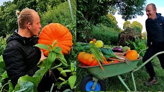 Gemüse ernten  Garten im August [upl. by Litton]