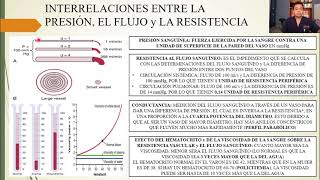 FISIOLOGÍA VISIÓN GENERAL DE LA CIRCULACIÓN PRESIÓN FLUJO y RESISTENCIA [upl. by Magnus739]