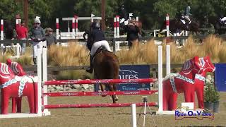 242S Lisa Sabo on Summerwood Clover Rua Novice Horse Show Jumping Galway Downs Nov 2024 [upl. by Thier]