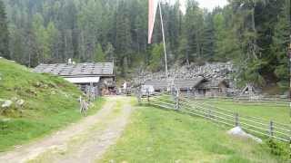 Frantschalm 1835 m auch Mauslochalm genannt im Vinschgau in HD [upl. by Anauqahc63]