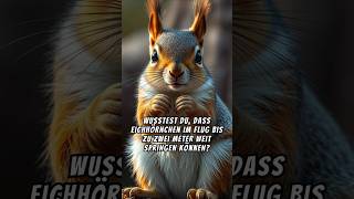 🐿🌰 Die Welt der Eichhörnchen entdecken 🧡shorts facts [upl. by Hiett]