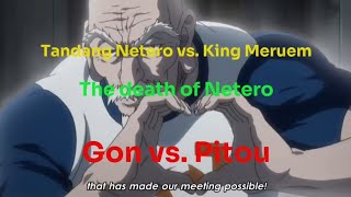 Netero vs Mureum  Death of Netero Hunter X Hunter  Gon vs Pitou [upl. by Tadich]