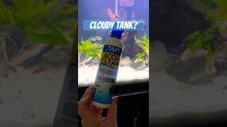 How to clear a cloudy planted fish tank🐠 Happy fish 😃 So much debris after cleaning my tank￼ [upl. by Douglass846]