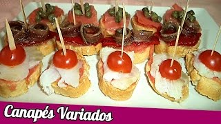 CANAPÉS VARIADOS  Recetas de Cocina [upl. by Zamora373]