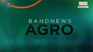 Brasil deve produzir maior safra histórica de grãos  BandNews TV [upl. by Atiuqahc]