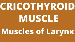 Cricothyroid Muscle muscles of larynx [upl. by Hayouqes]