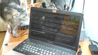 Не загружается Windows  Ноутбук HP Compaq Presario CQ61 [upl. by Nnylylloh497]