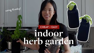 How to Make an Indoor Herb Garden Using Kratky Mason Jars cheap  easy hydroponics [upl. by Donal214]