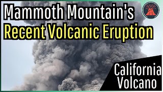 The Recent Volcanic Eruption at Mammoth Mountain in California [upl. by Sitoel]