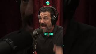 The Science of Smell How Odors Influence Our Behavior jre joerogan [upl. by Gearalt]