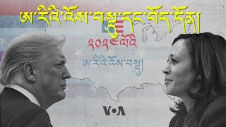 US Elections and its implication for Tibet [upl. by Velda]