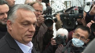 Orban quotIch erwarte einen großen Siegquot  AFP [upl. by Bethezel]