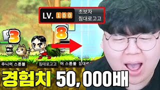 경험치 5만배 옛날메이플 서버 출시 ㅋㅋㅋ 3분만에 100랩 찍는다고 테스터훈 [upl. by Alleahcim]