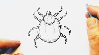 How to Draw Tick Easy  Simple Tick Drawing [upl. by Bithia171]