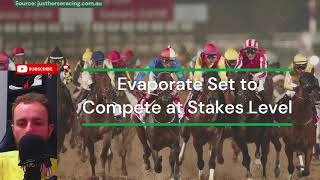 Evaporate Set to Compete at Stakes Level  Horse Racing [upl. by Aicemaj837]