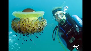 Tauchen PiranFiesa Sep20 Klaus Pichler Styria fun divers [upl. by Sandor272]