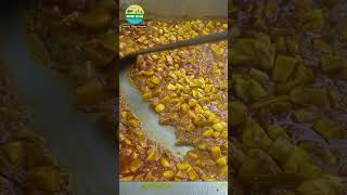 COOKING WallagoBOAL Fish Curry bengalifood villagefishcurry cooking food fishrecipes [upl. by Josepha909]