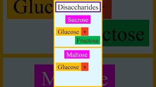 Monomer units of disaccharides sucrose lactose maltose and cellobiose chemistry [upl. by Zillah]