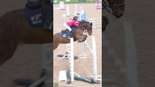 Troy jumped his heart out for me horse horselover horsegirl pony showjumping horseriding [upl. by Dumanian123]