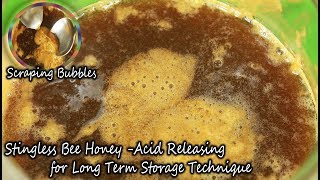 STINGLESS BEE HONEY STORAGE TECHNIQUE Releasing Acid [upl. by Mcdade]