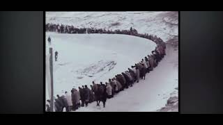 Bobsledding at the 1964 Winter Olympics Innsbruck [upl. by Attenoj170]