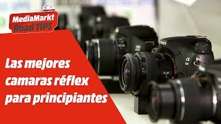 ¡Las mejores cámaras réflex para principiantes [upl. by Elleynad]