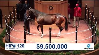 The November Sale 2017 SONGBIRD sells for 95M [upl. by Chesney]