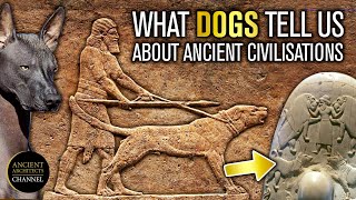 What Dogs Tell Us About Ancient Civilisations  Ancient Architects [upl. by Dare945]