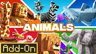 Animals  Minecraft Marketplace Addon  Showcase [upl. by Adnilem730]