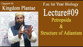 Biology Ch09Lecture09 PetropsidaampStructure of Adiantum FSc 1st Year [upl. by Jenni]