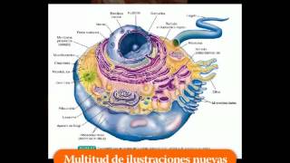 THIBODEAU Estructura y función del cuerpo humano 14ª ed [upl. by Curran]