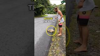 Man Saves Sloth from Busy Road in Costa Rica [upl. by Monarski]