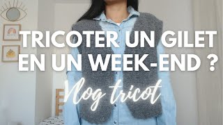 Jessaie de tricoter un gilet sans manches en un weekend  vlog tricot [upl. by Sinnod457]