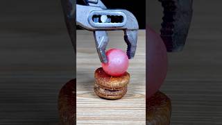 Experiment 1000℃ RHCB Vs Fig asmr satisfying experiment scienceexperiment rhcb asmrsounds [upl. by Marsh732]