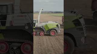 🚜 Claas XERION 5000 TS m Hundegang 🦾 [upl. by Anisor367]