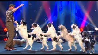 Wolfgang Lauenburger  Dressage de Chiens  Le Plus Grand Cabaret Du Monde [upl. by Rednaxela]