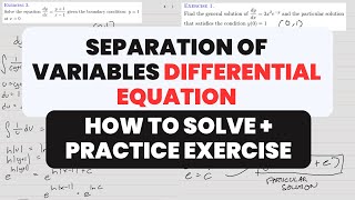 How to SOLVE Separable First Order Differential Equations  Practice Exercises [upl. by Adnolohs327]