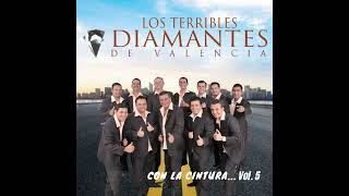 DELIRIO  LOS DIAMANTES 🇪🇨🎵 [upl. by Anauj996]