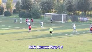 Grifo CannaraViole 11 [upl. by Sirtimid359]