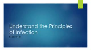 Understand The Priciples of Infection [upl. by Ijar]