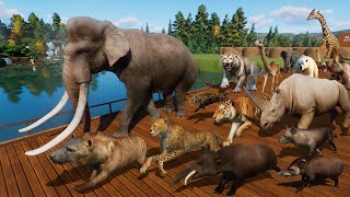 Ancient Animals VS Modern Animals Race in Planet Zoo included Mammoth Smilodon Cheetah amp Tiger [upl. by Eannyl]