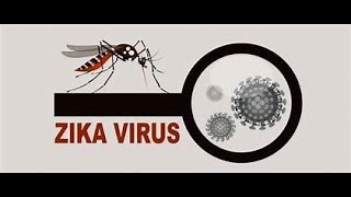 Stay Safe from Zika Virus Essential Precautions [upl. by Kuth]