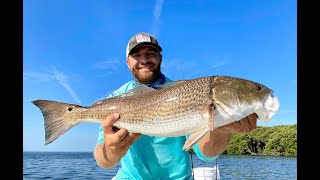 How to Catch Redfish Snook and Trout in Crystal River Ozello Homosassa [upl. by Weinrich994]