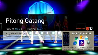 Pitong Gatang  Fred Panopio  Karaoke  HD [upl. by Mcgregor228]